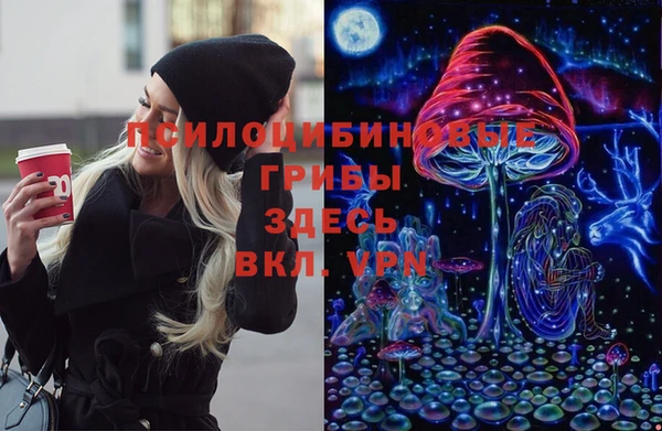гидропоника Алексин