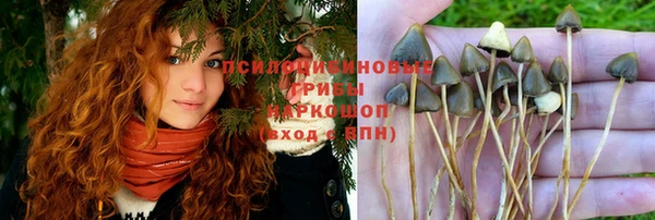 крисы Алексеевка